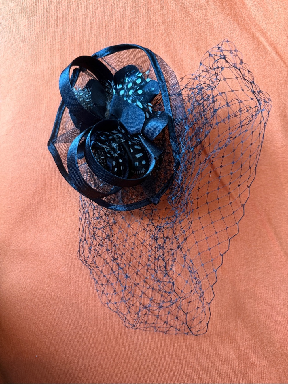 Black Feather Veil Fascinator Hair Clip